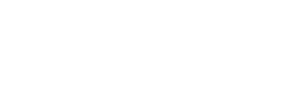 logo dn4
