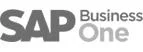 sap business