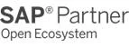 sap partner